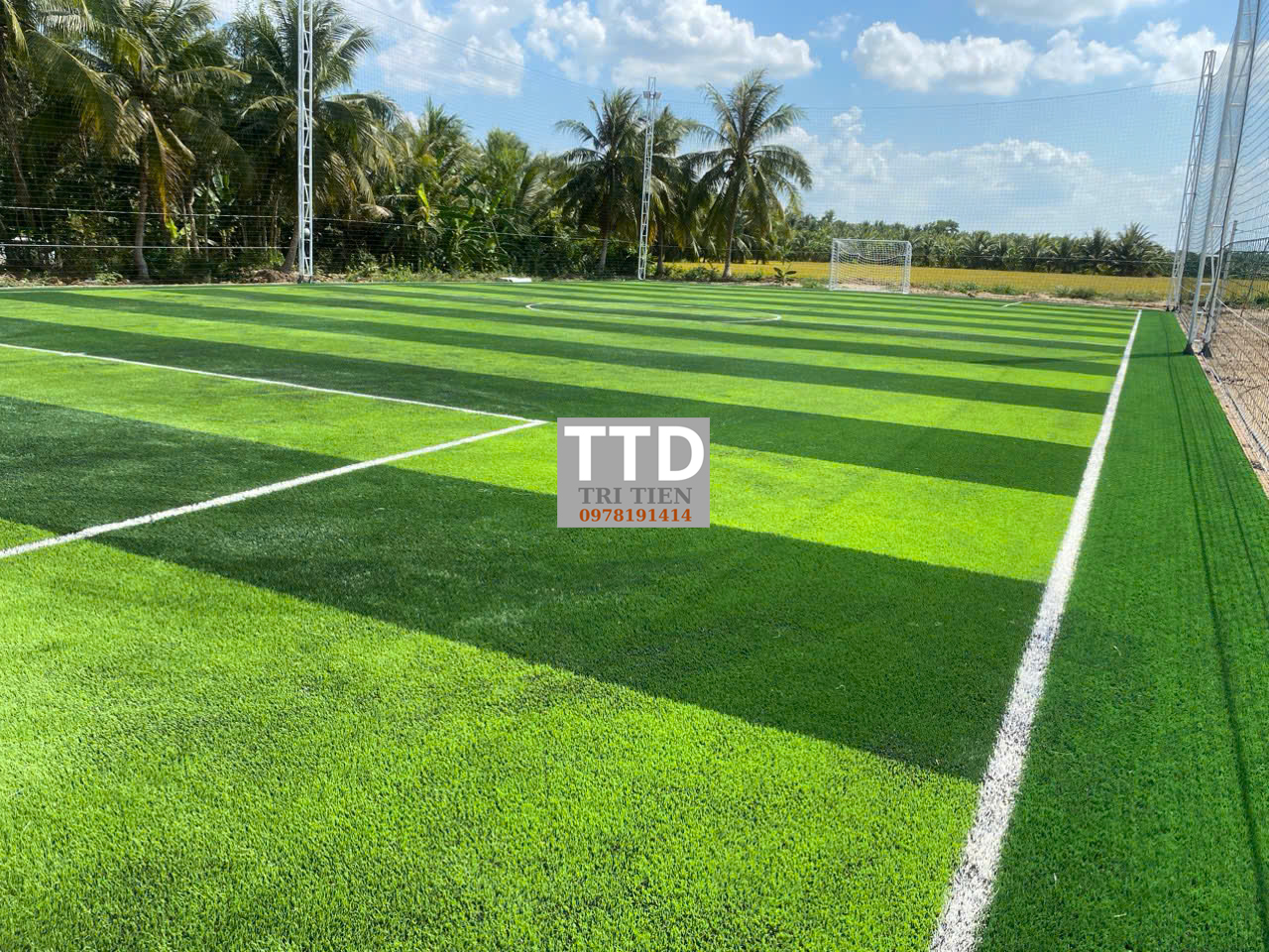 Báo Giá Cỏ Nhân Tạo Sân Bóng 5 Người, 7 Người, 11 Người – Mới Nhất 2025