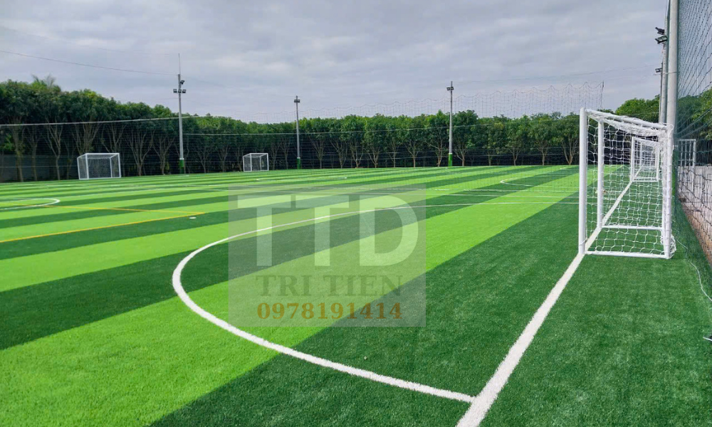 Thi Công Sân Bóng Đá Phong Trào – Giải Pháp Kinh Doanh Hiệu Quả
