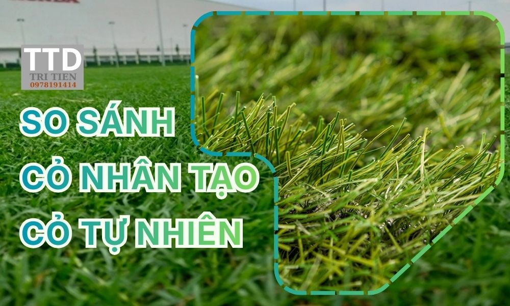 So Sánh Cỏ Nhân Tạo Và Cỏ Tự Nhiên : Nên Chọn Loại Nào?